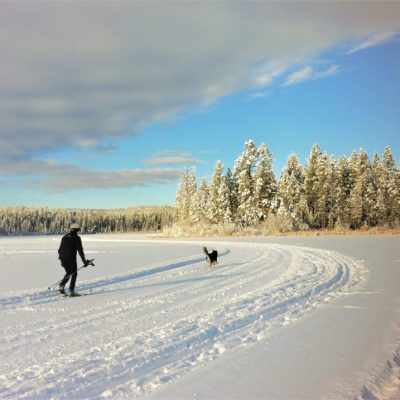 Lake Lillian Whiteway – Nordic Ski Trails