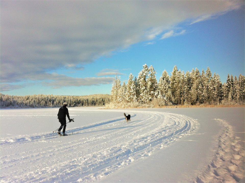 Lake Lillian Nordic trail